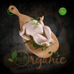 FRESH CHICKEN WHOLE