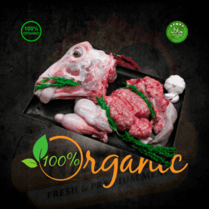 Syrian Lamb HEAD